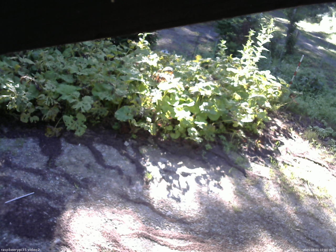 長野県菅平高原 ゆたか山荘 駐車場 2025/08/01 07:00