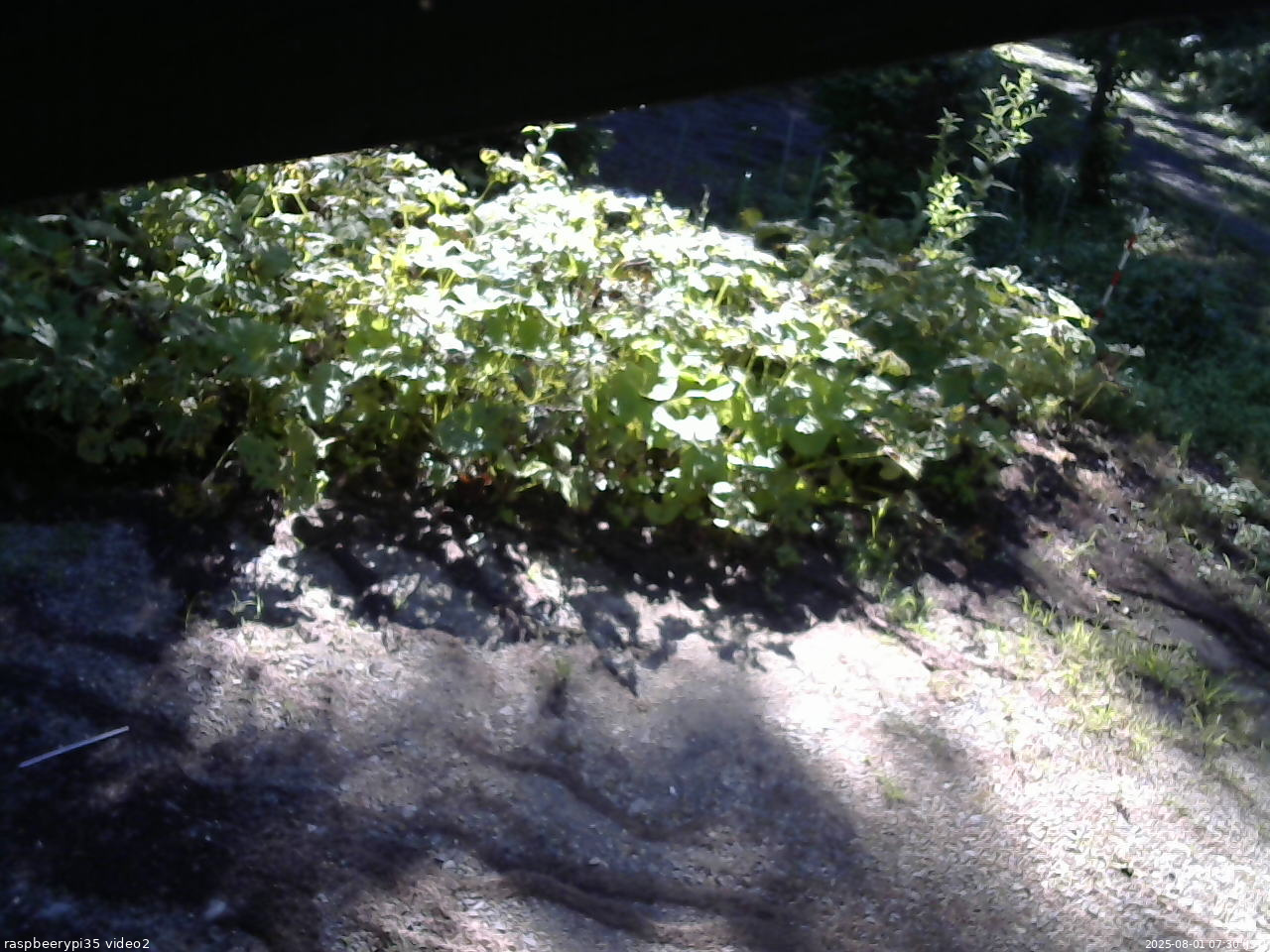 長野県菅平高原 ゆたか山荘 駐車場 2025/08/01 07:30