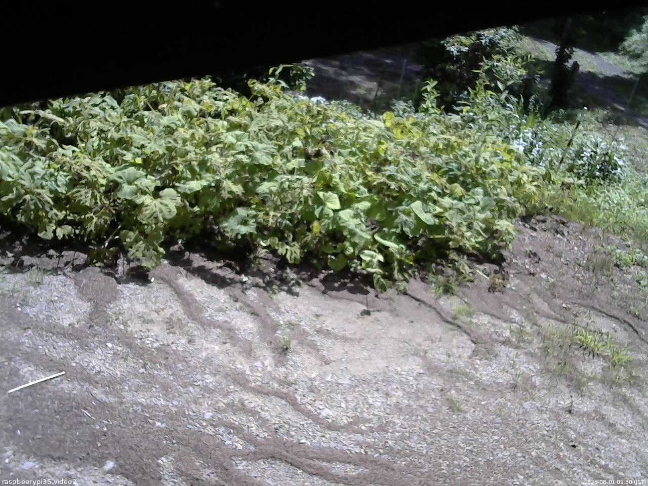 長野県菅平高原 ゆたか山荘 駐車場 2025/08/01 09:30