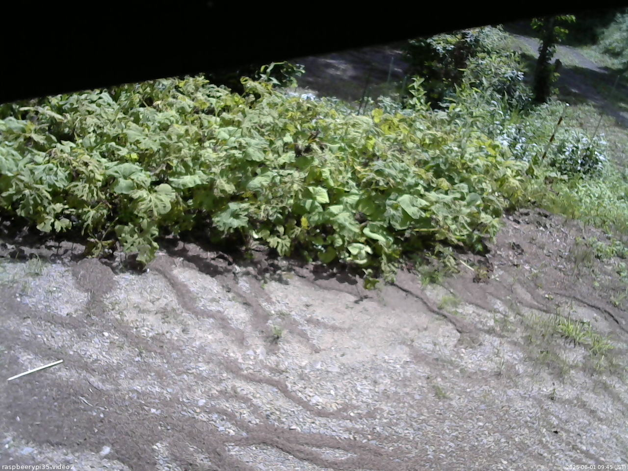 長野県菅平高原 ゆたか山荘 駐車場 2025/08/01 09:45