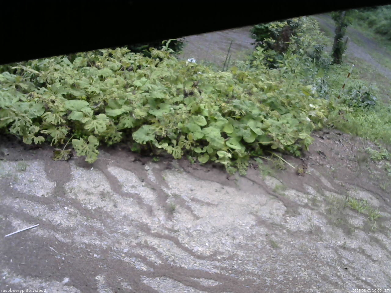 長野県菅平高原 ゆたか山荘 駐車場 2025/08/01 10:00