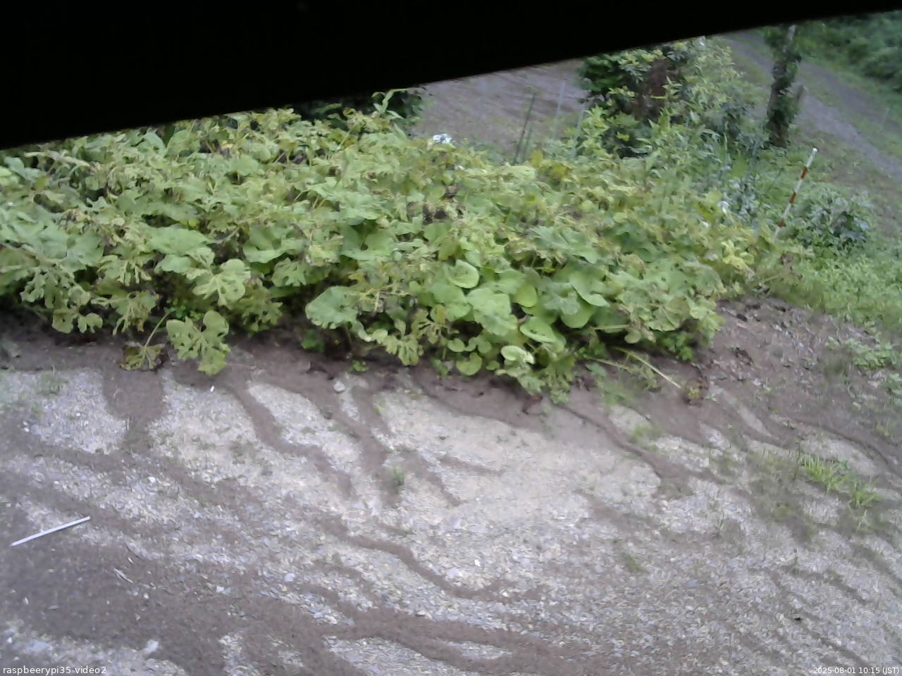 長野県菅平高原 ゆたか山荘 駐車場 2025/08/01 10:15