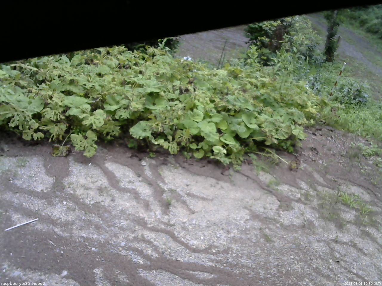 長野県菅平高原 ゆたか山荘 駐車場 2025/08/01 10:30