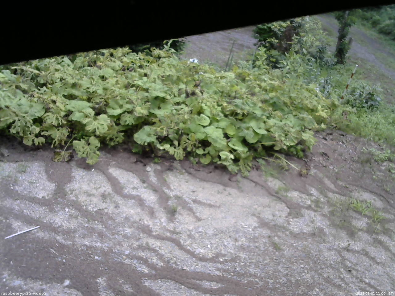 長野県菅平高原 ゆたか山荘 駐車場 2025/08/01 11:00