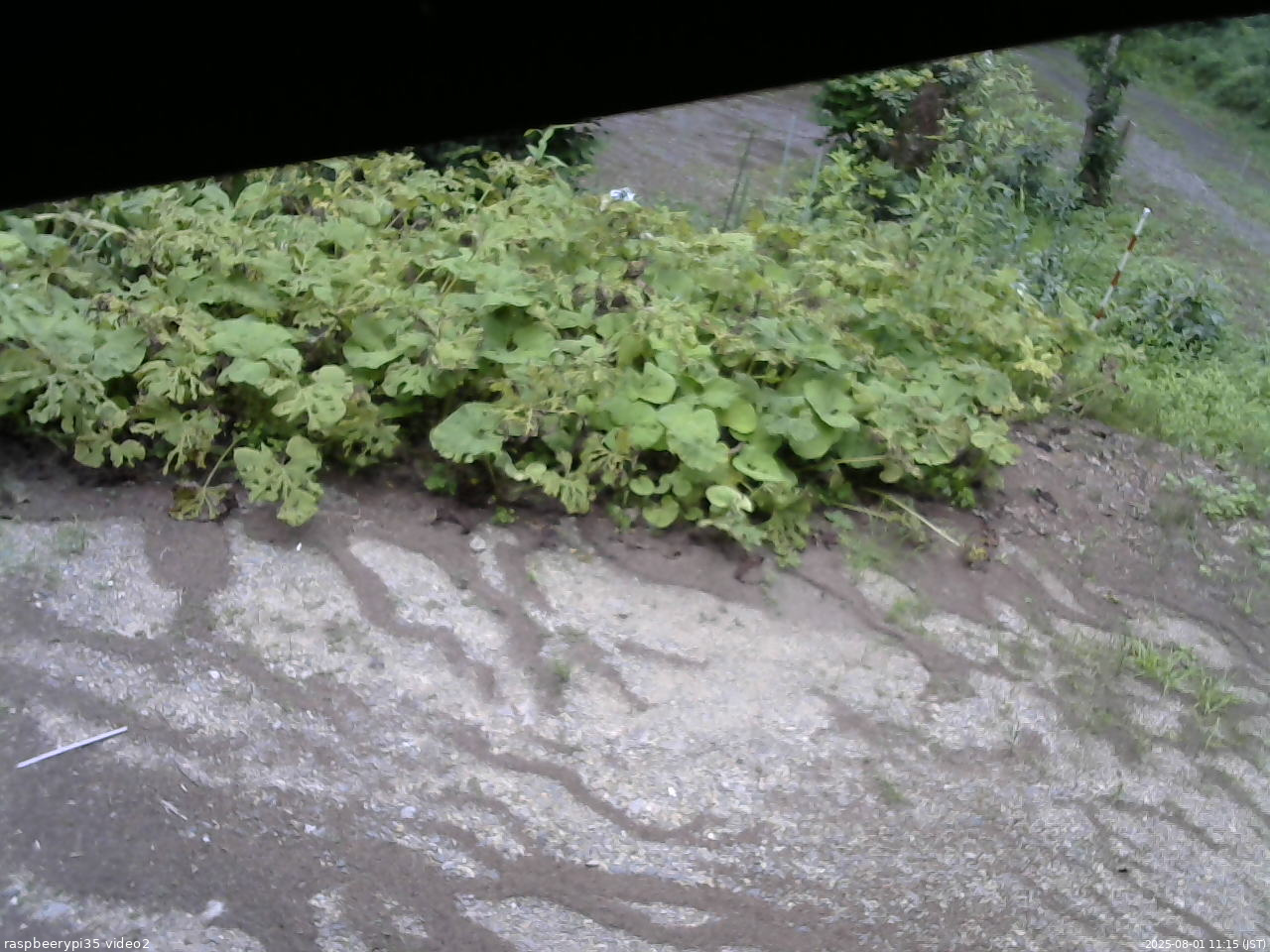 長野県菅平高原 ゆたか山荘 駐車場 2025/08/01 11:15