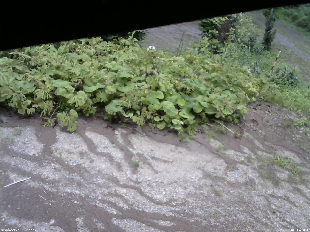 長野県菅平高原 ゆたか山荘 駐車場 2025/08/01 11:45