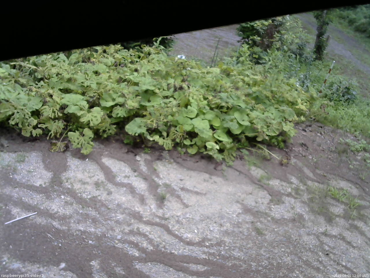 長野県菅平高原 ゆたか山荘 駐車場 2025/08/01 12:00