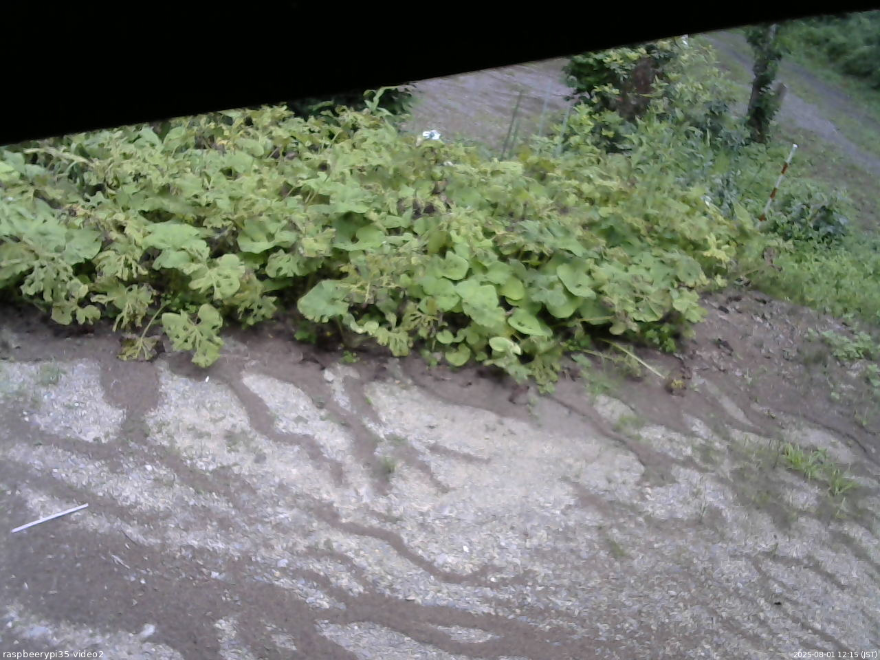 長野県菅平高原 ゆたか山荘 駐車場 2025/08/01 12:15