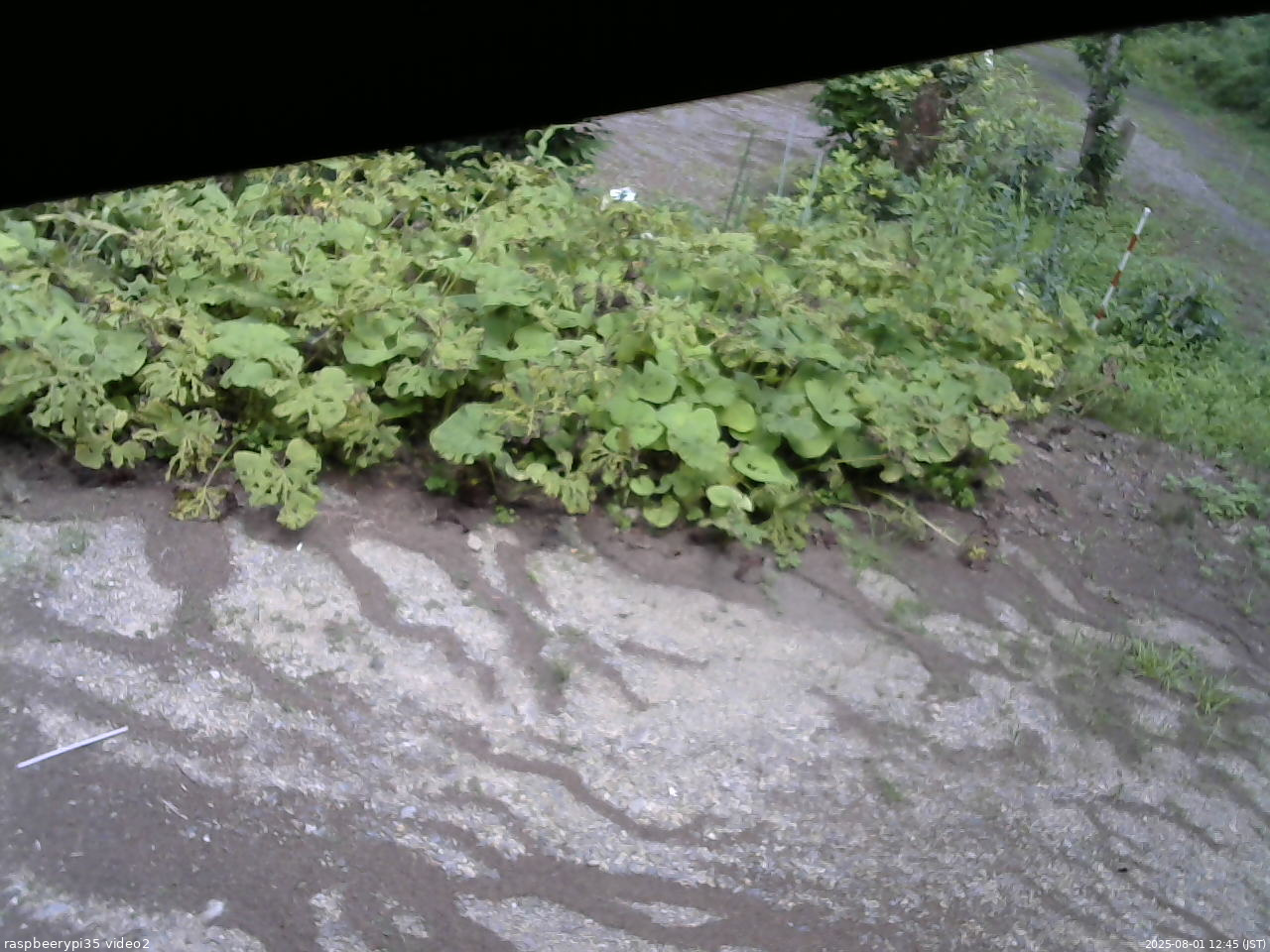 長野県菅平高原 ゆたか山荘 駐車場 2025/08/01 12:45