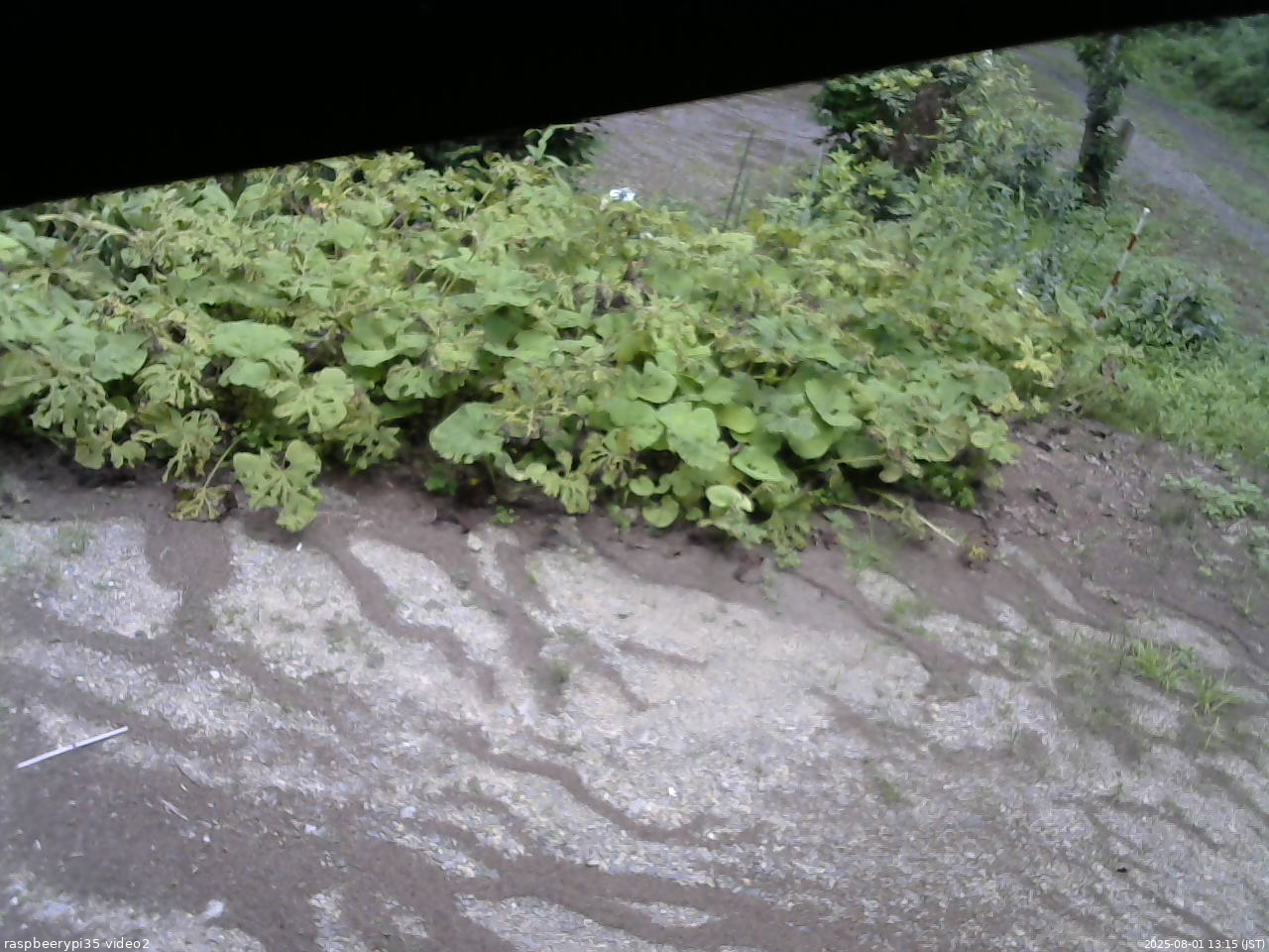 長野県菅平高原 ゆたか山荘 駐車場 2025/08/01 13:15