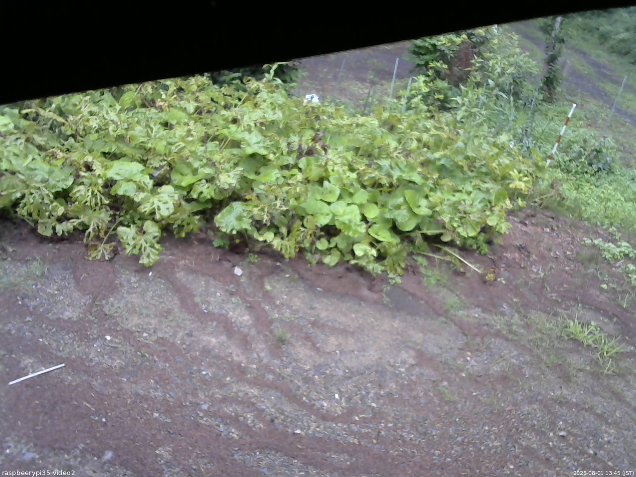 長野県菅平高原 ゆたか山荘 駐車場 2025/08/01 13:45