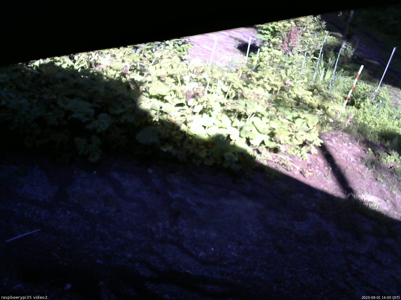 長野県菅平高原 ゆたか山荘 駐車場 2025/08/01 16:00