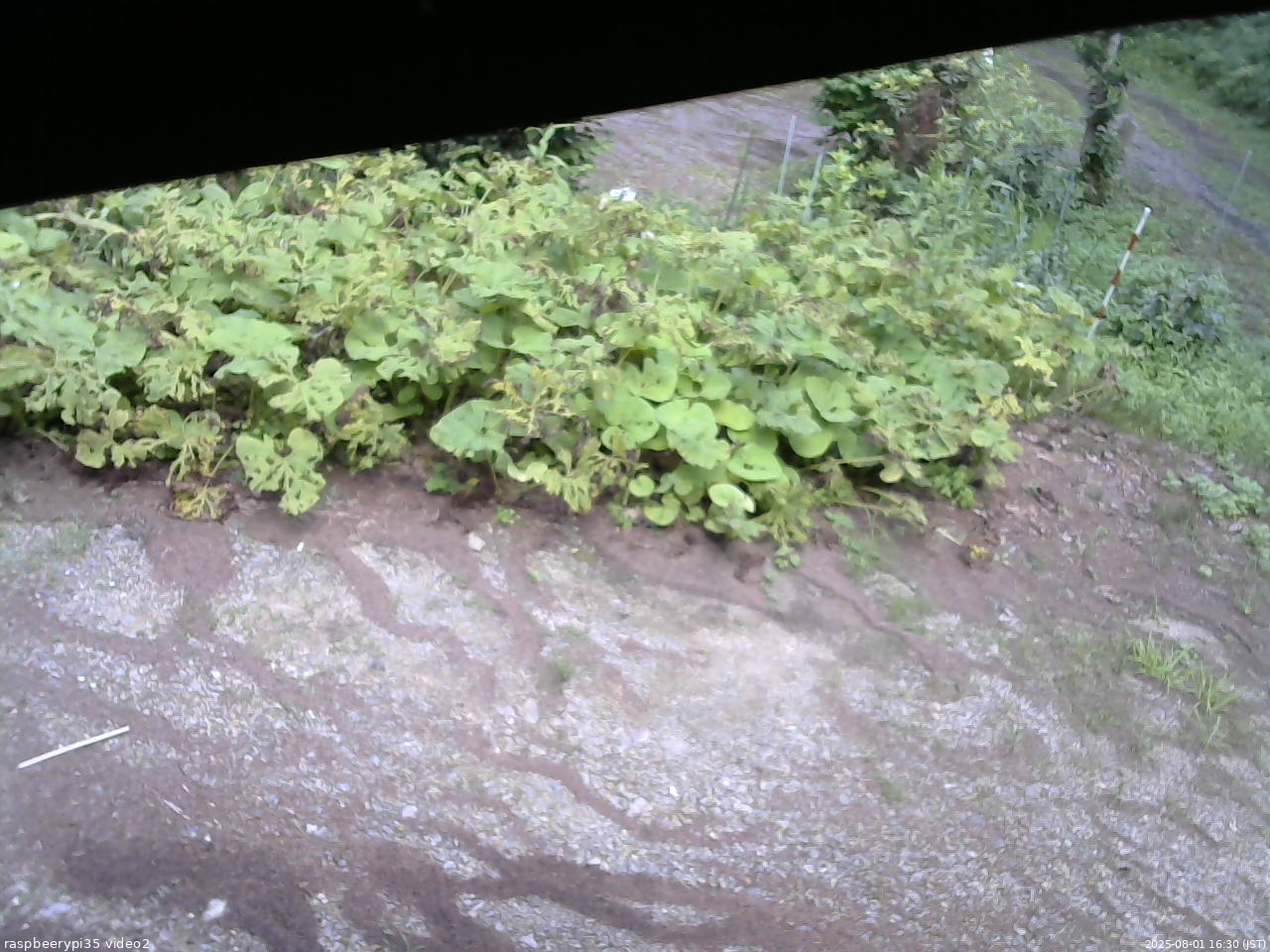 長野県菅平高原 ゆたか山荘 駐車場 2025/08/01 16:30