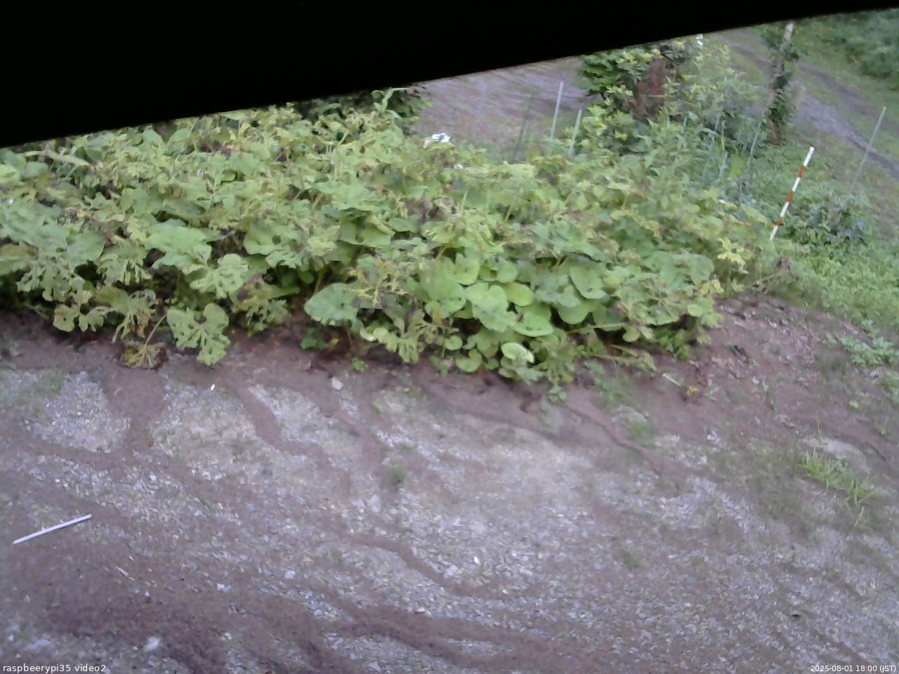長野県菅平高原 ゆたか山荘 駐車場 2025/08/01 18:00