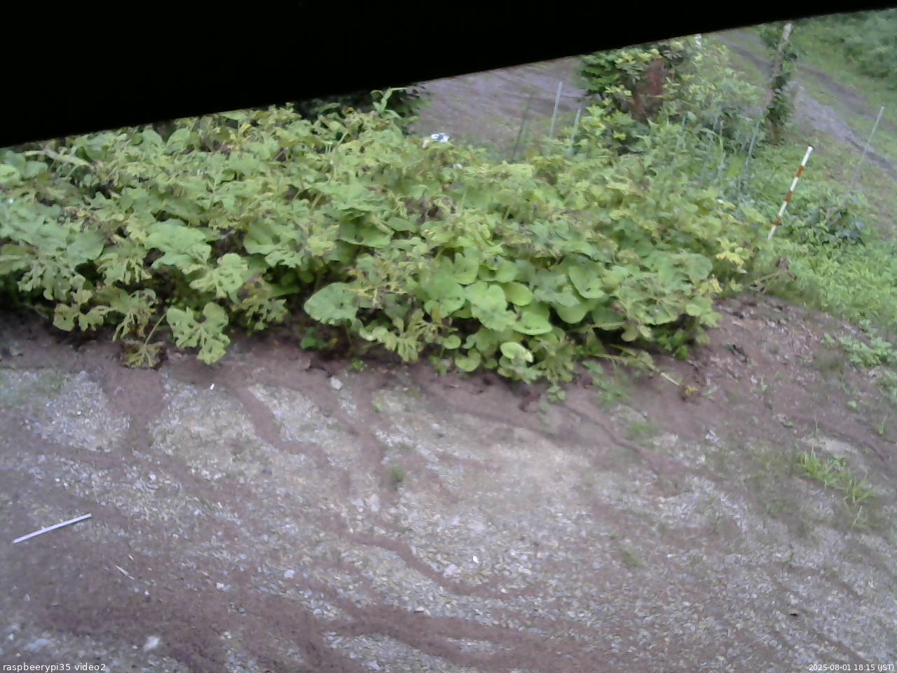 長野県菅平高原 ゆたか山荘 駐車場 2025/08/01 18:15