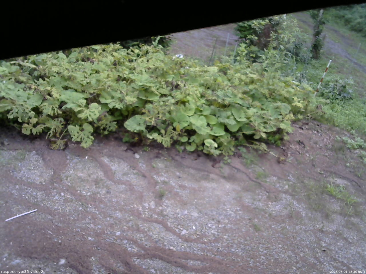 長野県菅平高原 ゆたか山荘 駐車場 2025/08/01 18:30