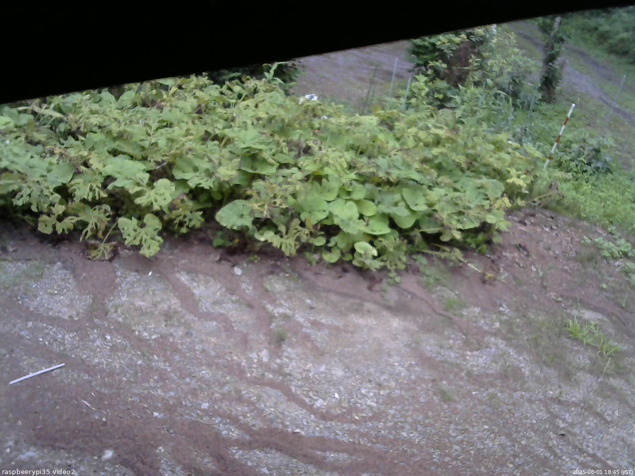 長野県菅平高原 ゆたか山荘 駐車場 2025/08/01 18:45
