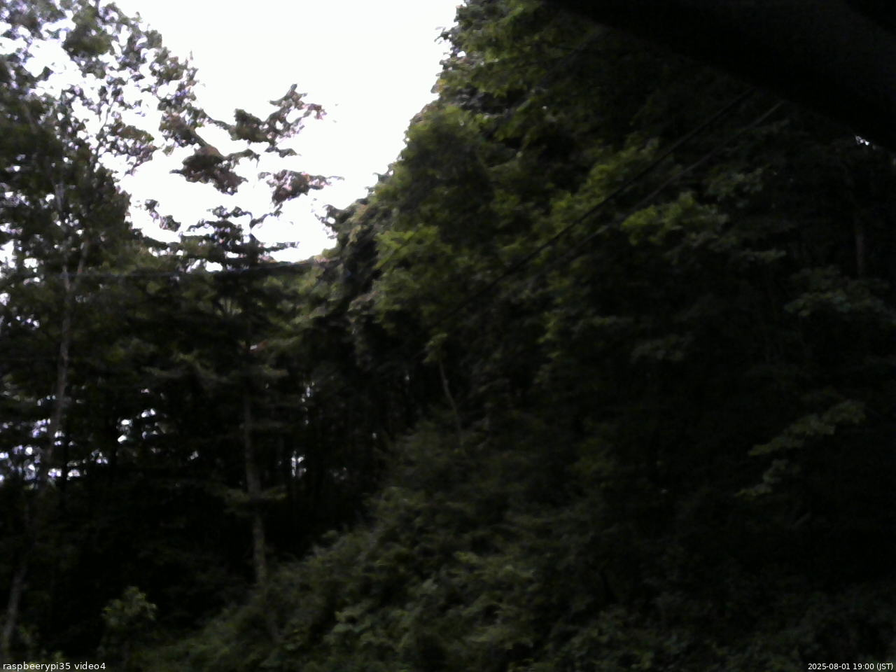 長野県菅平高原 ゆたか山荘 東側上空 2025/08/01 19:00