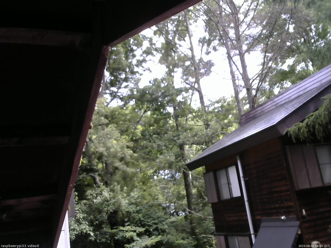 長野県菅平高原 ゆたか山荘 北側 2025/08/02 09:45