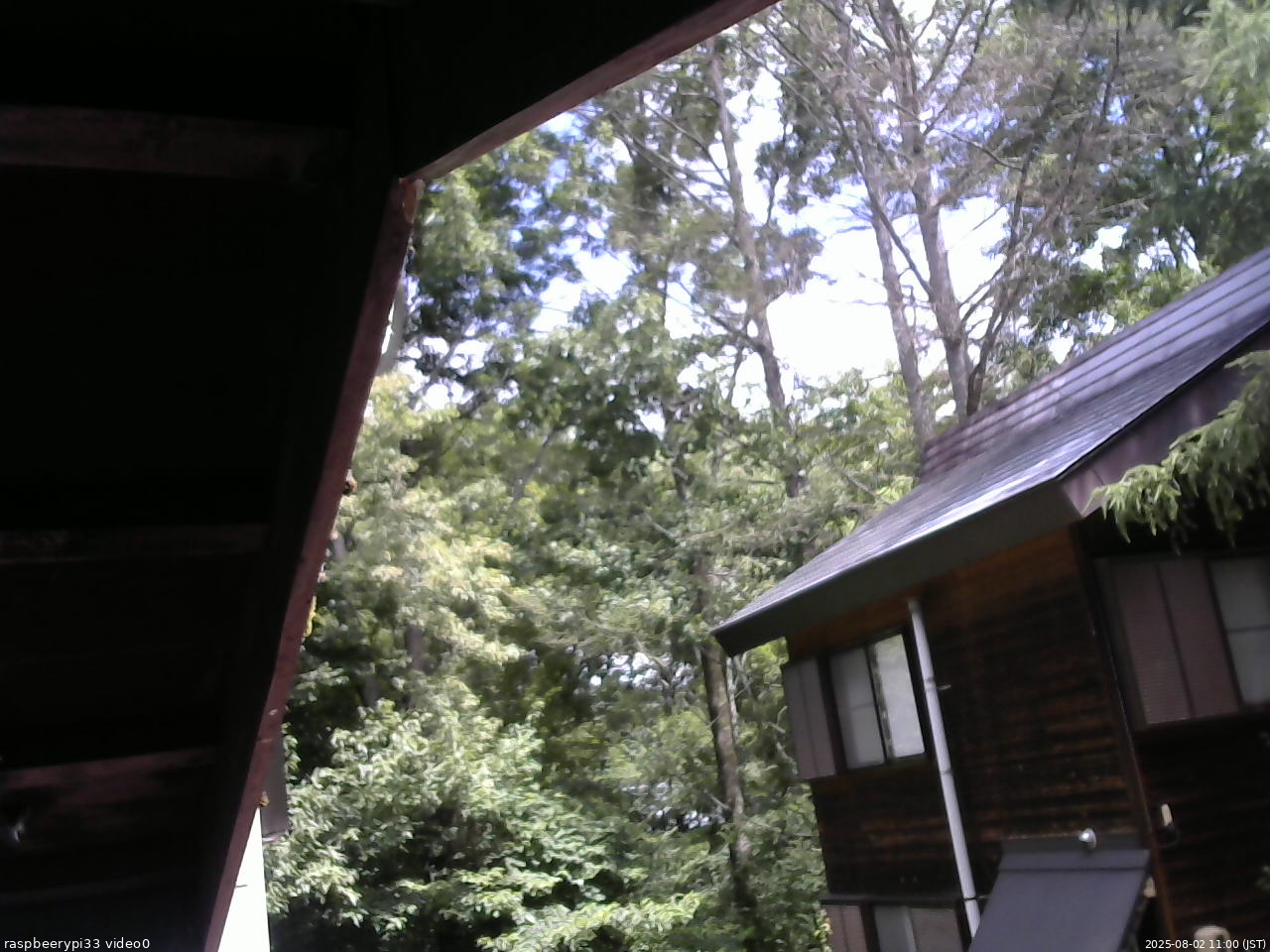 長野県菅平高原 ゆたか山荘 北側 2025/08/02 11:00