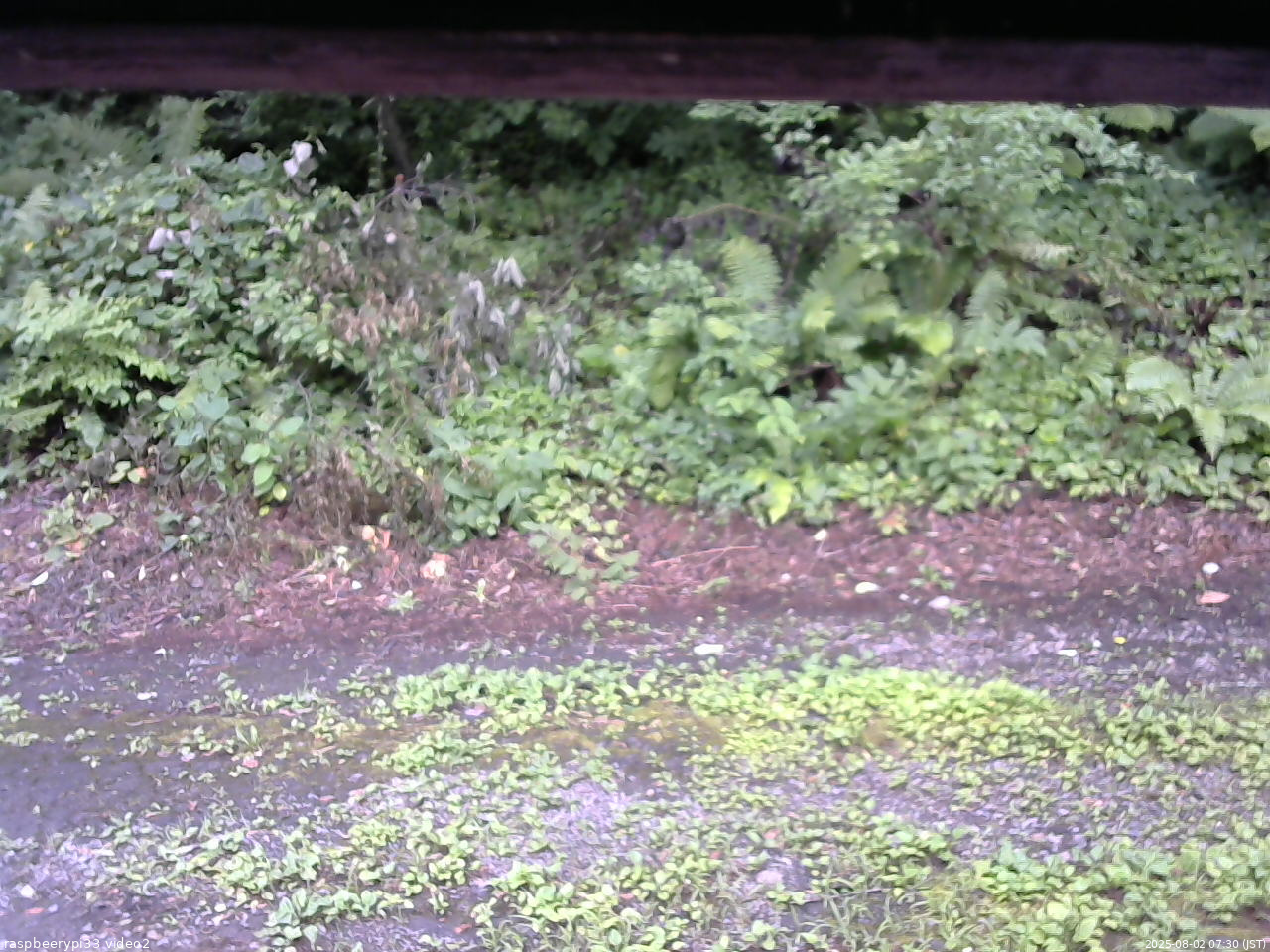 長野県菅平高原 ゆたか山荘 南側 2025/08/02 07:30