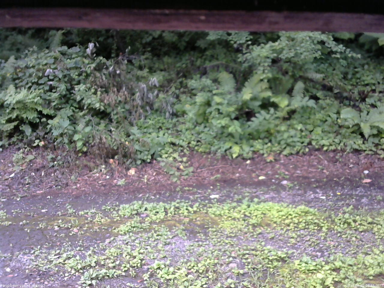 長野県菅平高原 ゆたか山荘 南側 2025/08/02 07:45