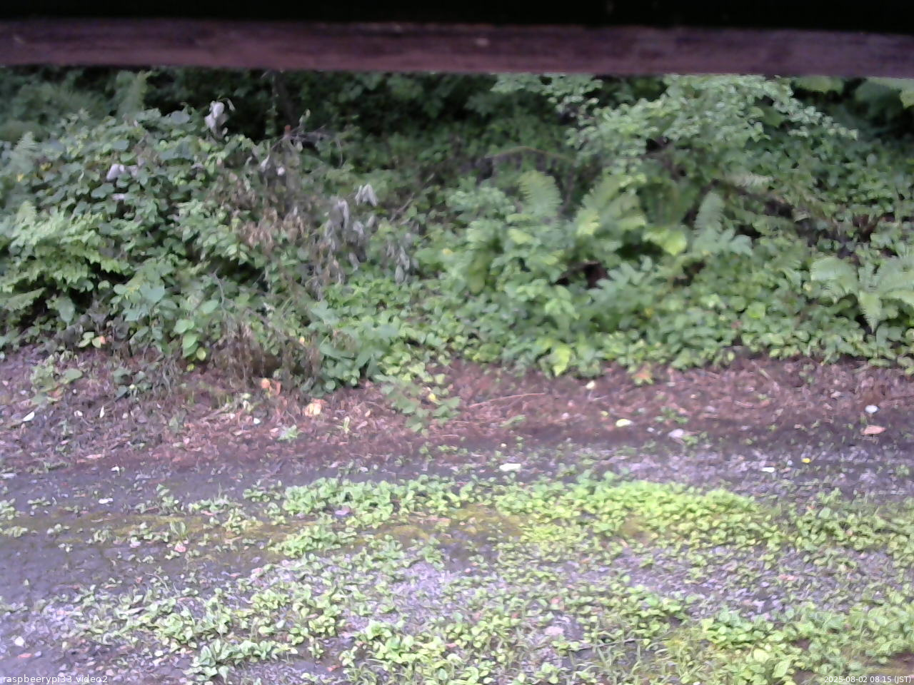 長野県菅平高原 ゆたか山荘 南側 2025/08/02 08:15