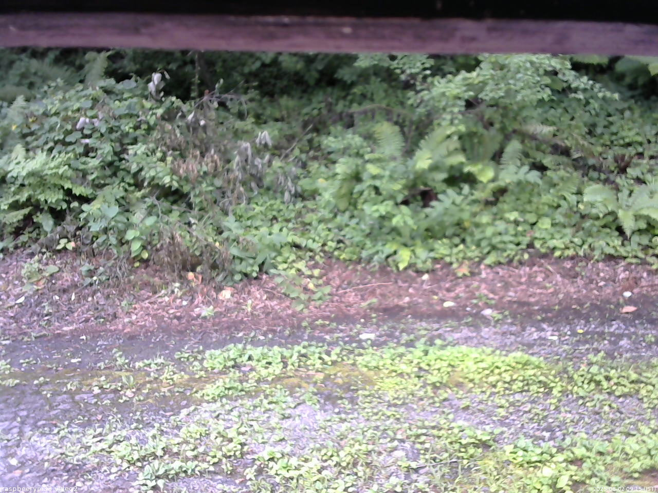長野県菅平高原 ゆたか山荘 南側 2025/08/02 09:15