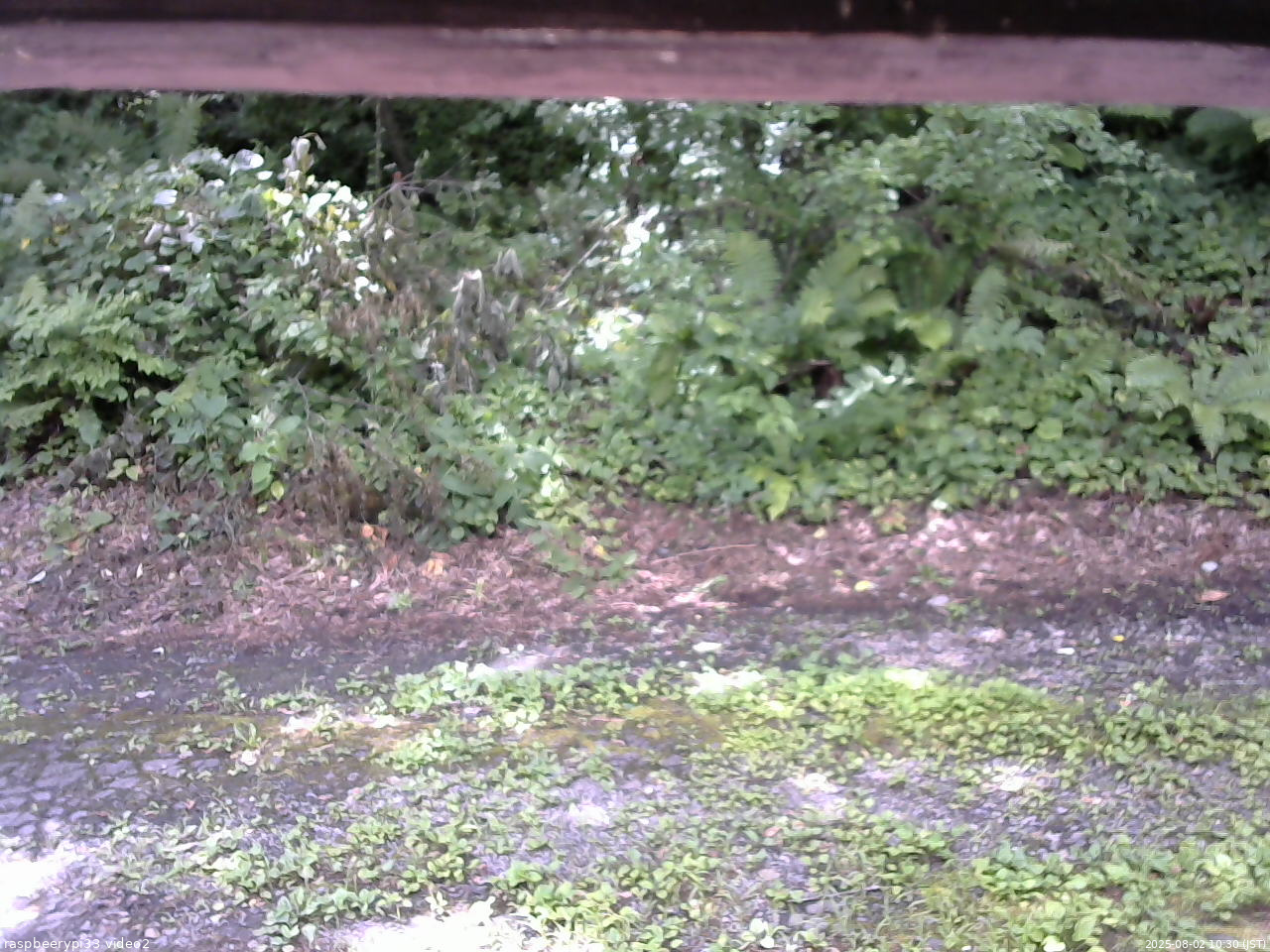 長野県菅平高原 ゆたか山荘 南側 2025/08/02 10:30