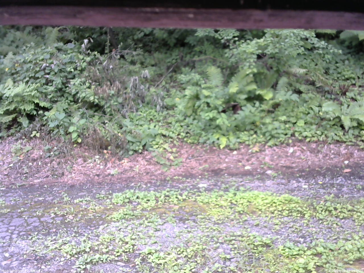 長野県菅平高原 ゆたか山荘 南側 2025/08/02 12:15