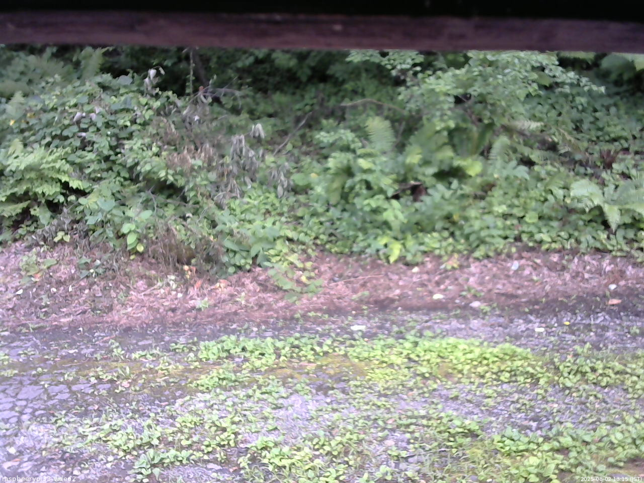 長野県菅平高原 ゆたか山荘 南側 2025/08/02 13:15