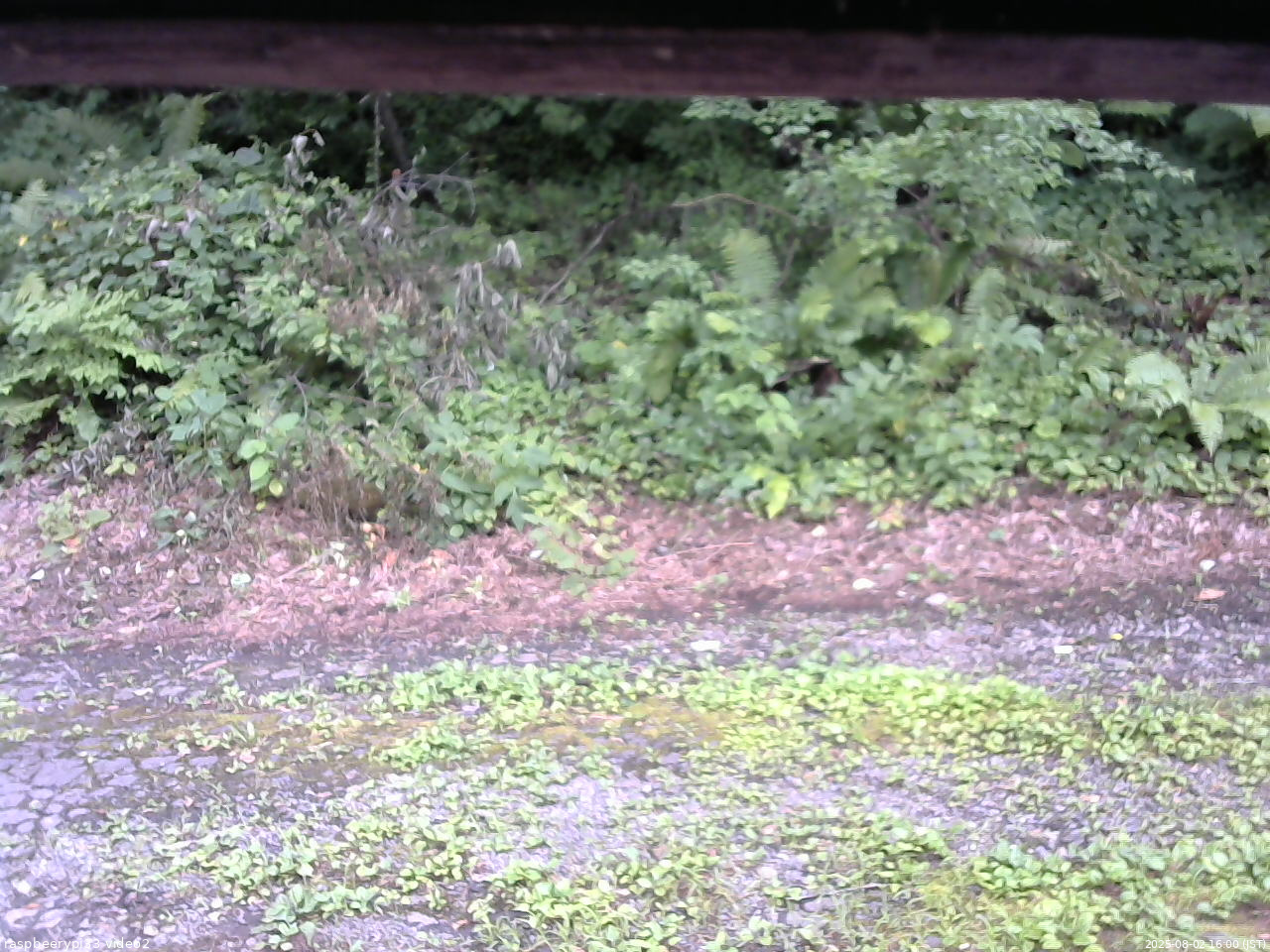 長野県菅平高原 ゆたか山荘 南側 2025/08/02 16:00