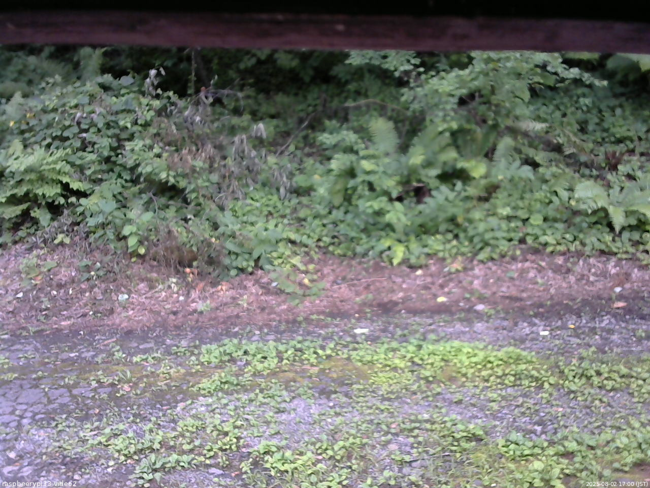 長野県菅平高原 ゆたか山荘 南側 2025/08/02 17:00