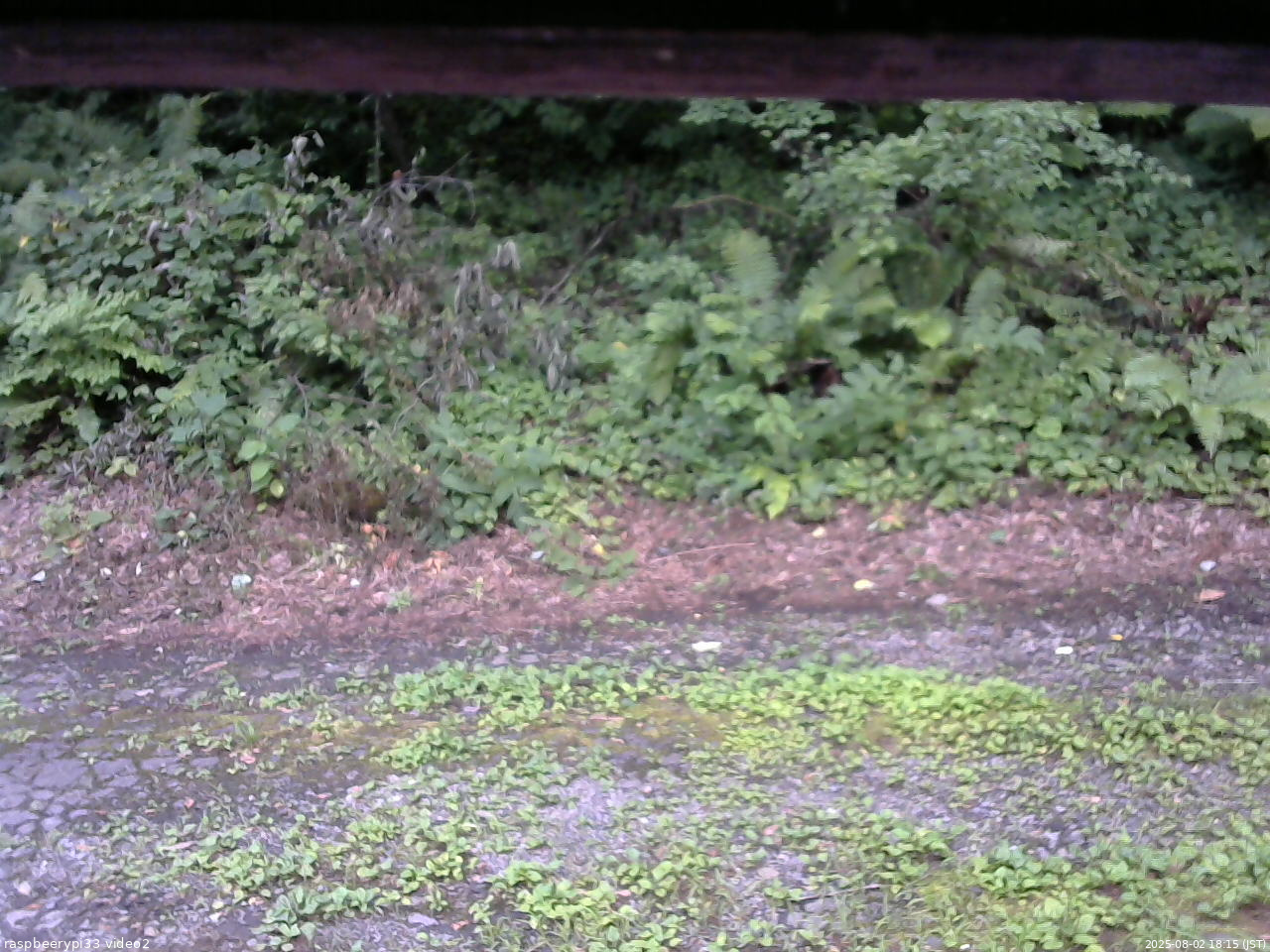 長野県菅平高原 ゆたか山荘 南側 2025/08/02 18:15