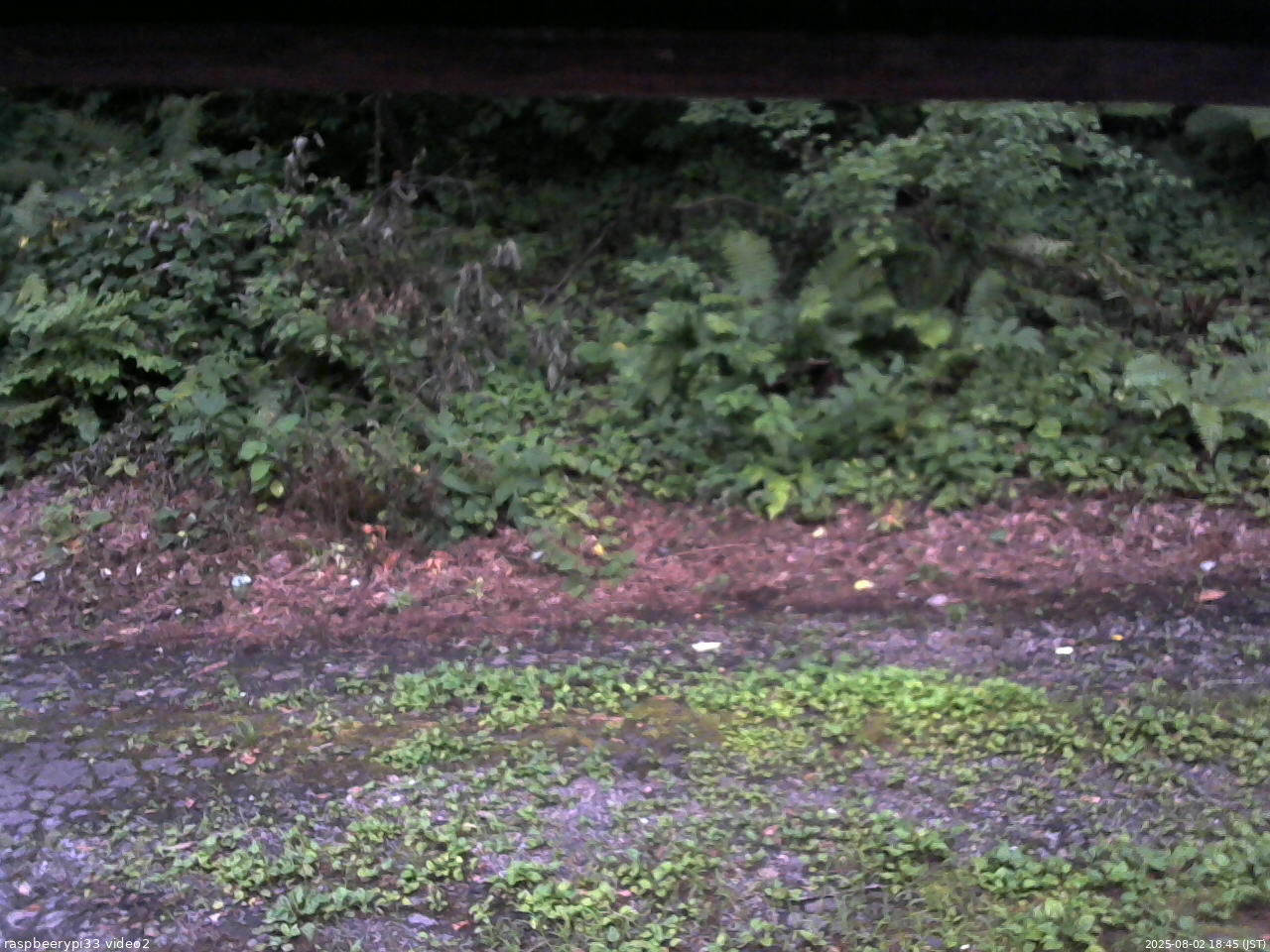 長野県菅平高原 ゆたか山荘 南側 2025/08/02 18:45