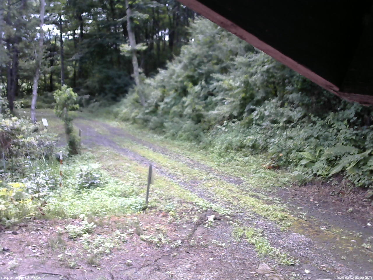 長野県菅平高原 ゆたか山荘 東側(坂下) 2025/08/02 08:00