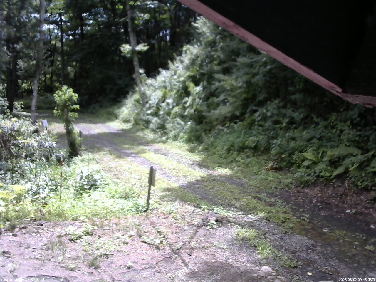 長野県菅平高原 ゆたか山荘 東側(坂下) 2025/08/02 09:45