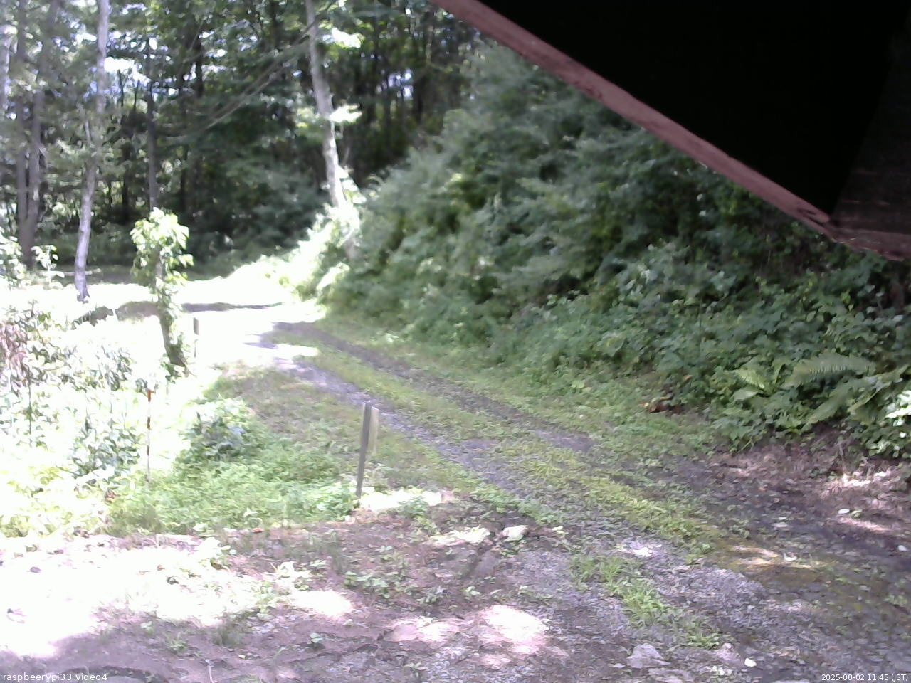 長野県菅平高原 ゆたか山荘 東側(坂下) 2025/08/02 11:45