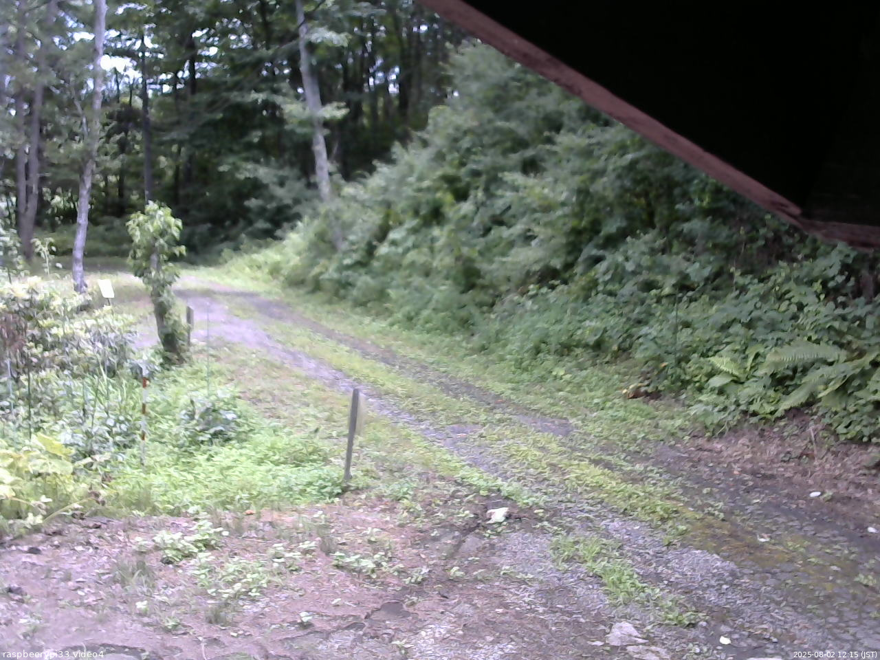 長野県菅平高原 ゆたか山荘 東側(坂下) 2025/08/02 12:15