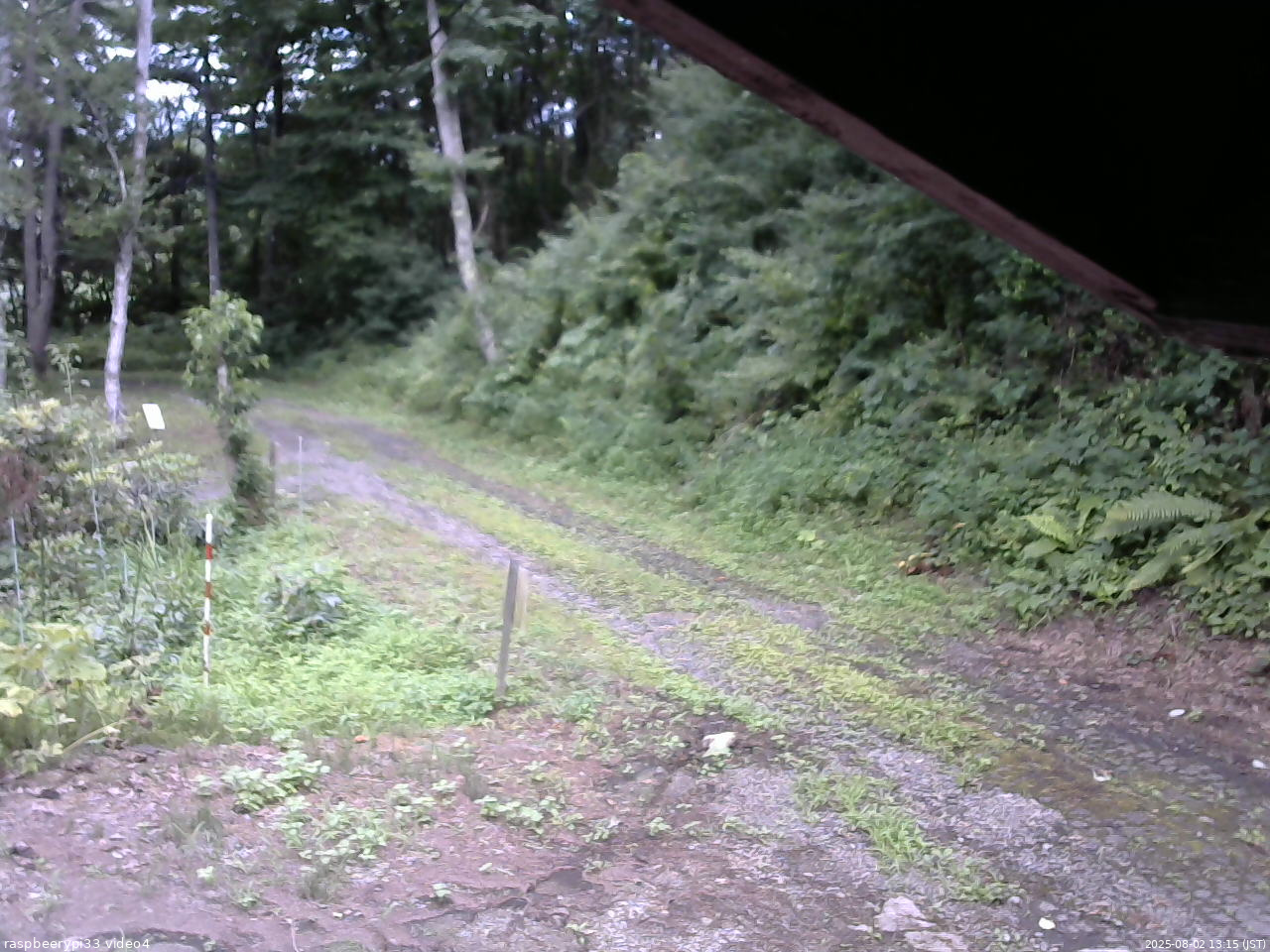長野県菅平高原 ゆたか山荘 東側(坂下) 2025/08/02 13:15