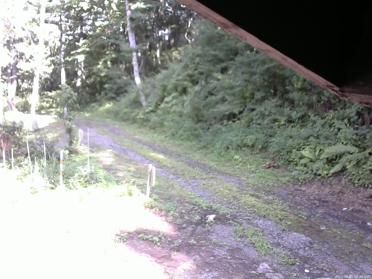 長野県菅平高原 ゆたか山荘 東側(坂下) 2025/08/02 15:30