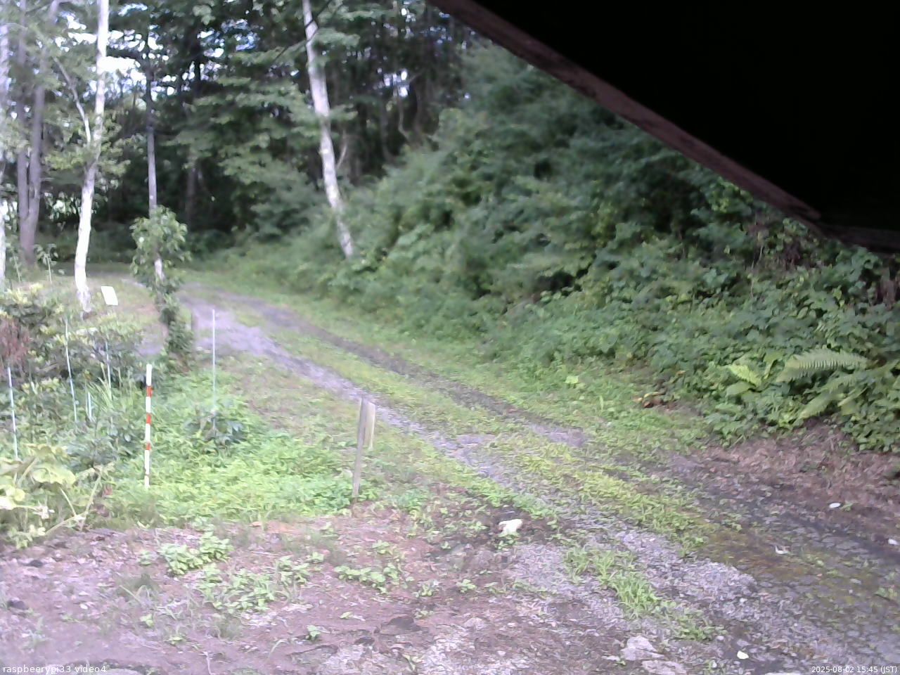長野県菅平高原 ゆたか山荘 東側(坂下) 2025/08/02 15:45