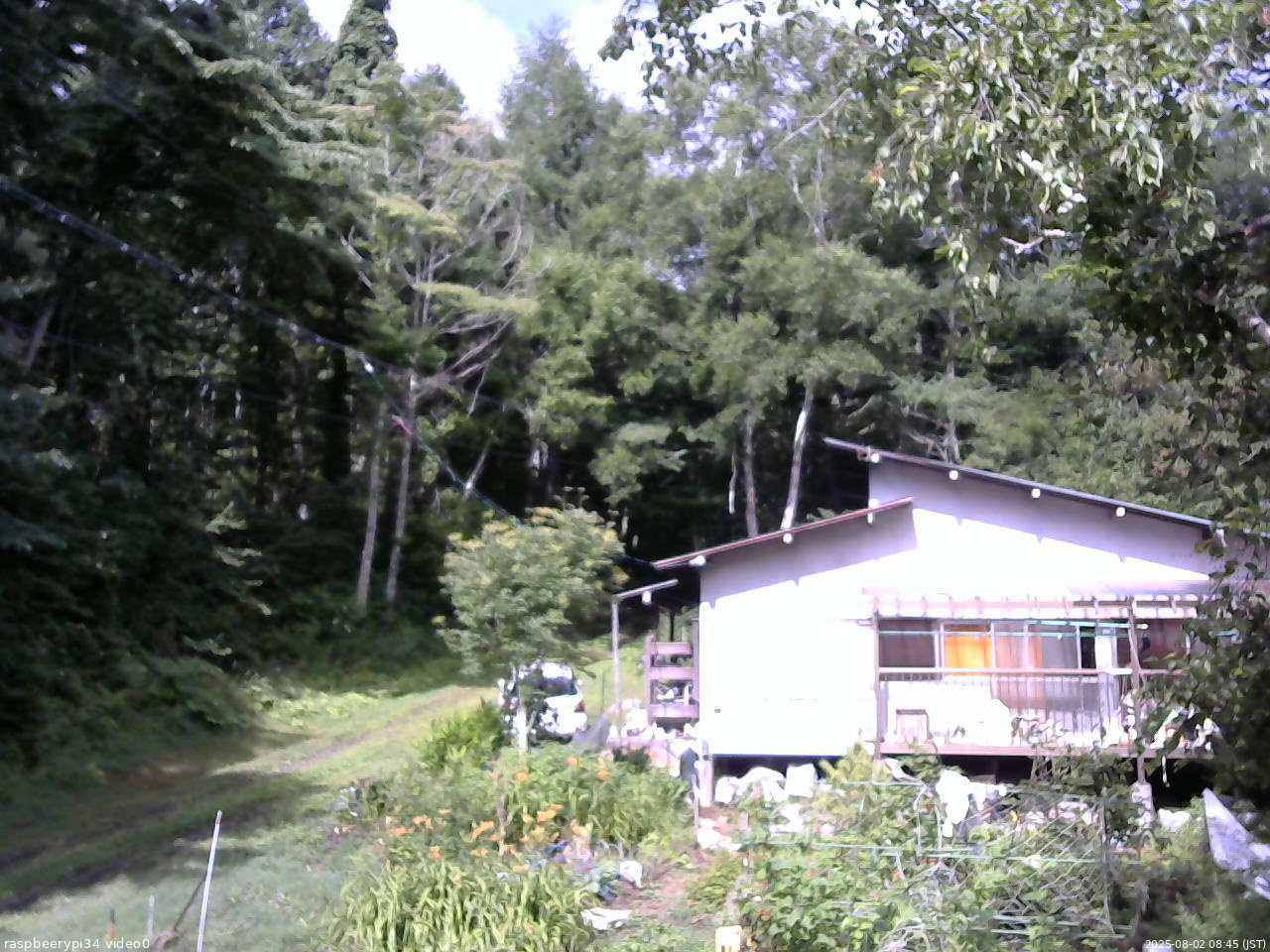 長野県菅平高原 ゆたか山荘 西側(坂上) 2025/08/02 08:45