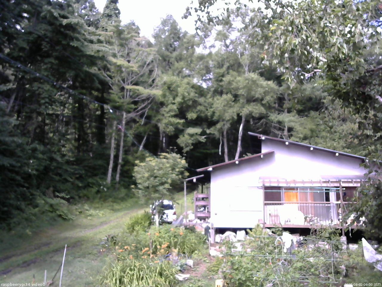 長野県菅平高原 ゆたか山荘 西側(坂上) 2025/08/02 09:00