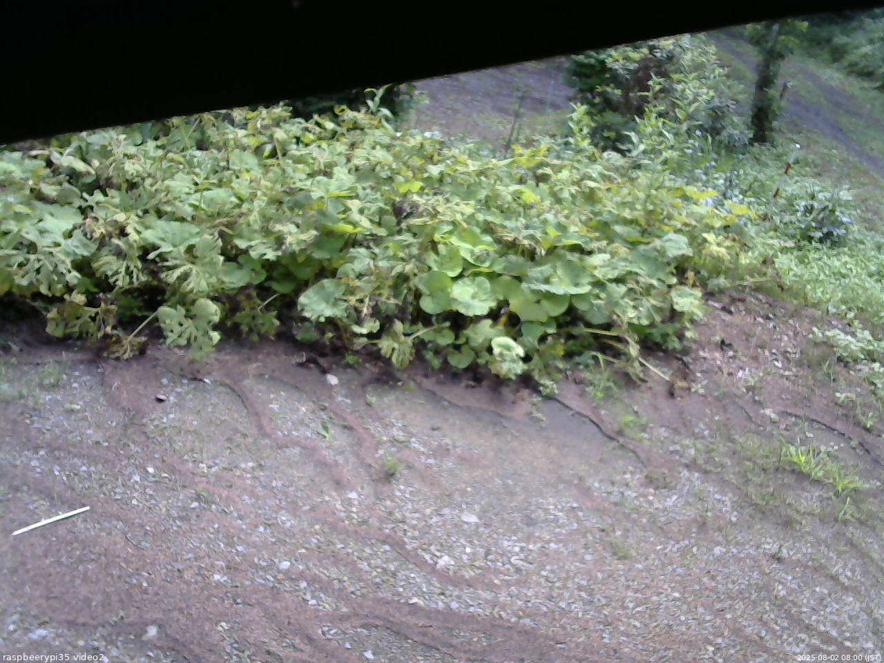 長野県菅平高原 ゆたか山荘 駐車場 2025/08/02 08:00
