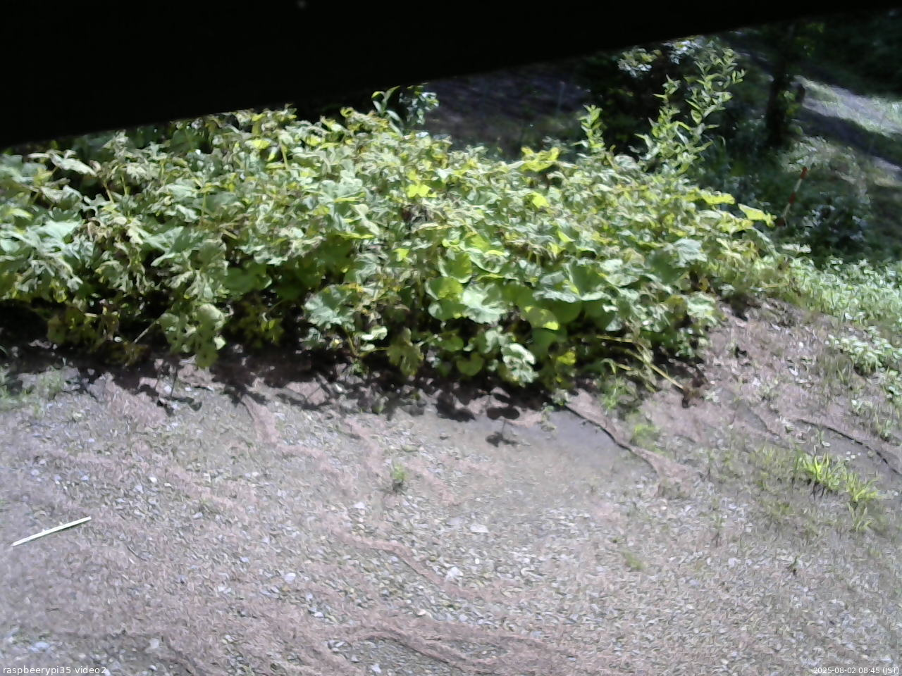 長野県菅平高原 ゆたか山荘 駐車場 2025/08/02 08:45