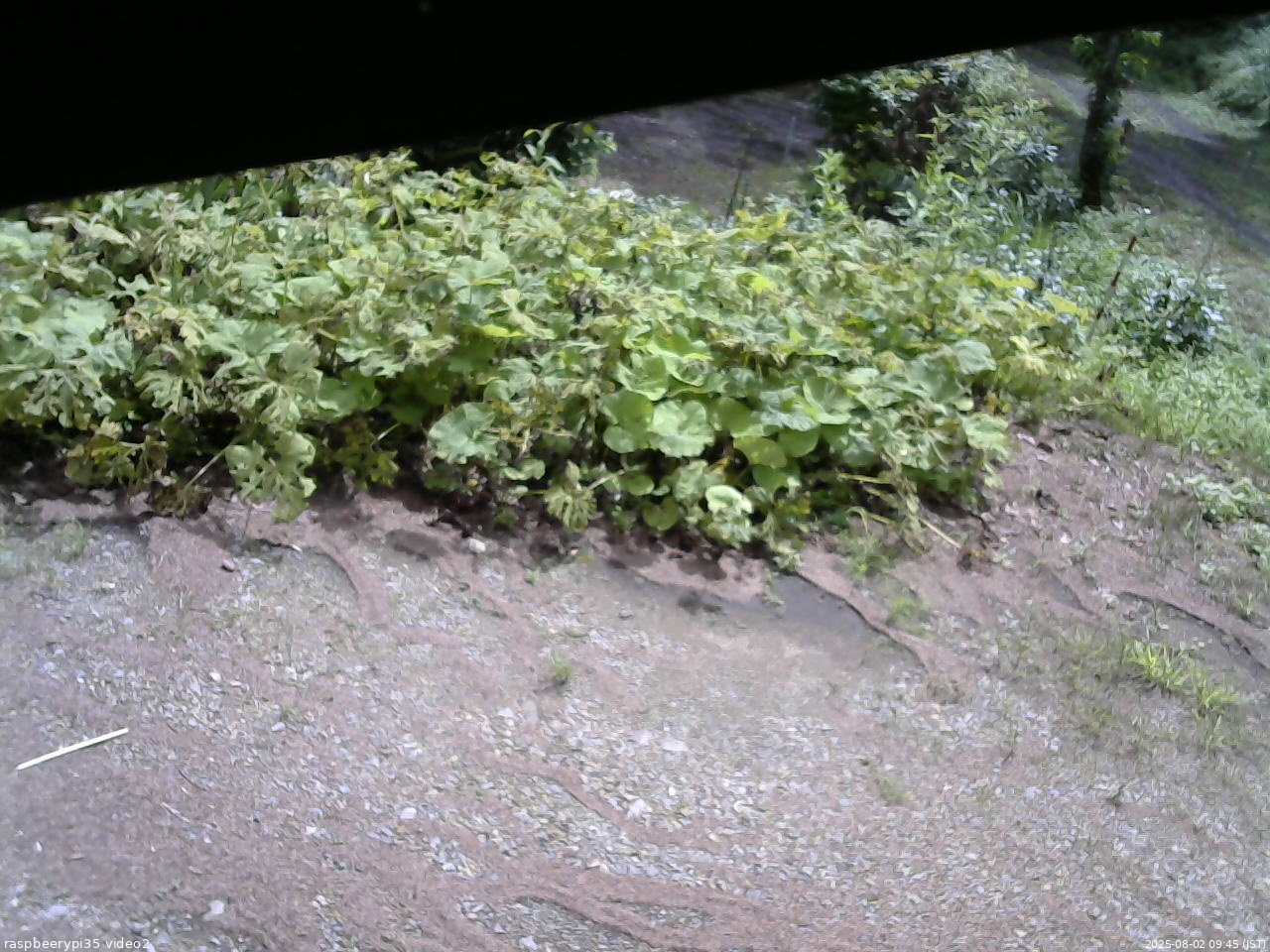 長野県菅平高原 ゆたか山荘 駐車場 2025/08/02 09:45