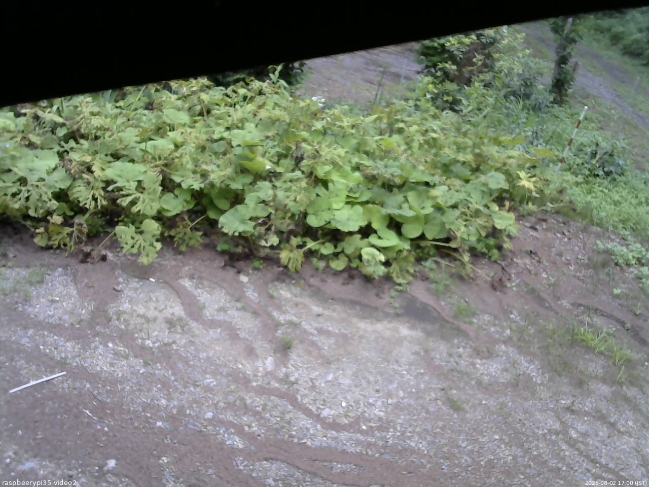 長野県菅平高原 ゆたか山荘 駐車場 2025/08/02 17:00