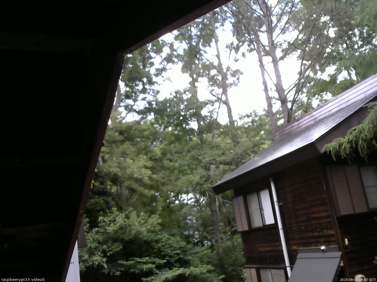 長野県菅平高原 ゆたか山荘 北側 2025/08/03 09:30