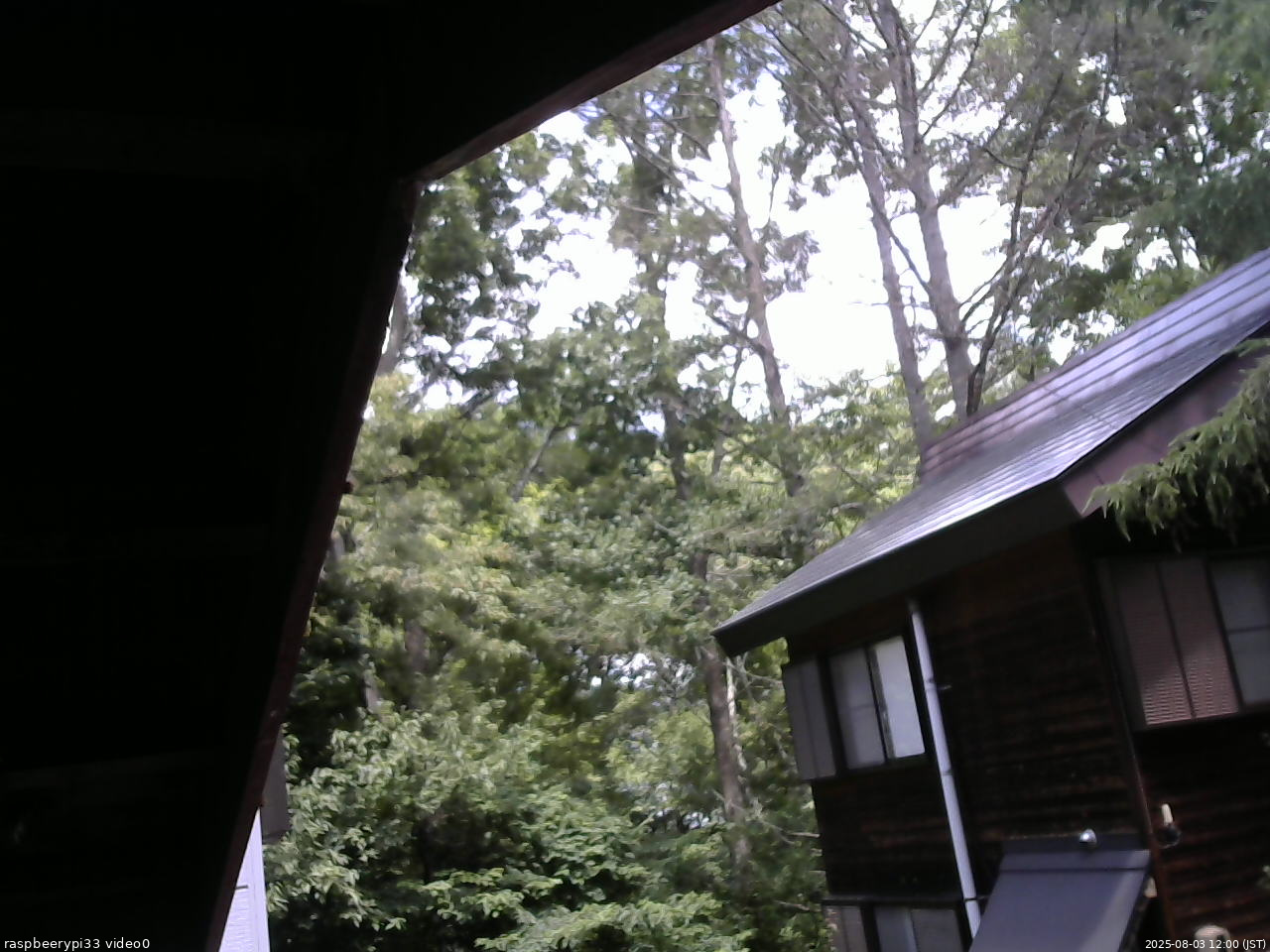 長野県菅平高原 ゆたか山荘 北側 2025/08/03 12:00